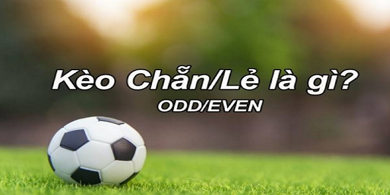 Hướng dẫn cách chơi kèo chẵn lẻ