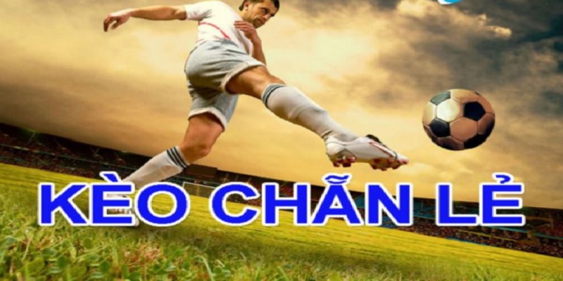 Thủ thuật từ các cao thủ